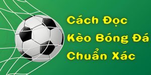 Cách Đọc Kèo Bóng Đá Chuẩn Xác: Dữ Liệu Tân Thủ Cần Nắm