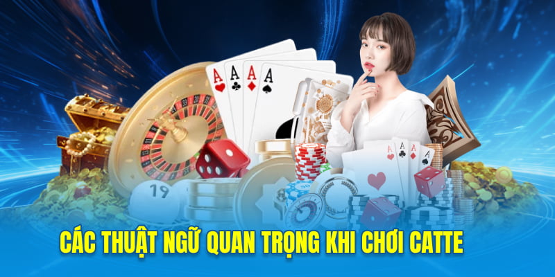 Các thuật ngữ quan trọng khi chơi Catte